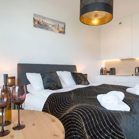 Apartmán In Near & *